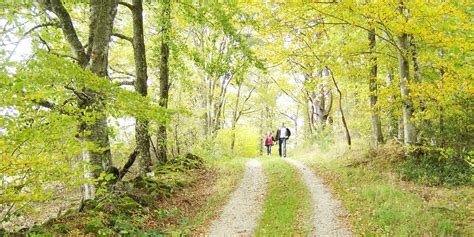 CHEMINS DE RANDONNÉES 